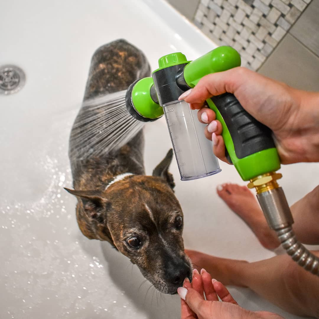 GoWinTraders - DogShower™
