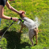 GoWinTraders - DogShower™